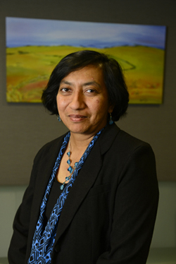 Picture of  Chandima Karunanayake, Ph.D., P.Stat.